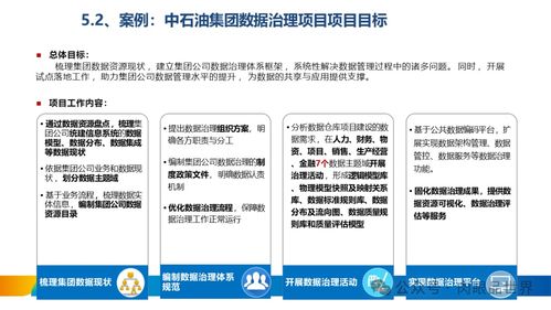 XX集团数据治理体系建设方案 构建高效可靠的数据处理服务